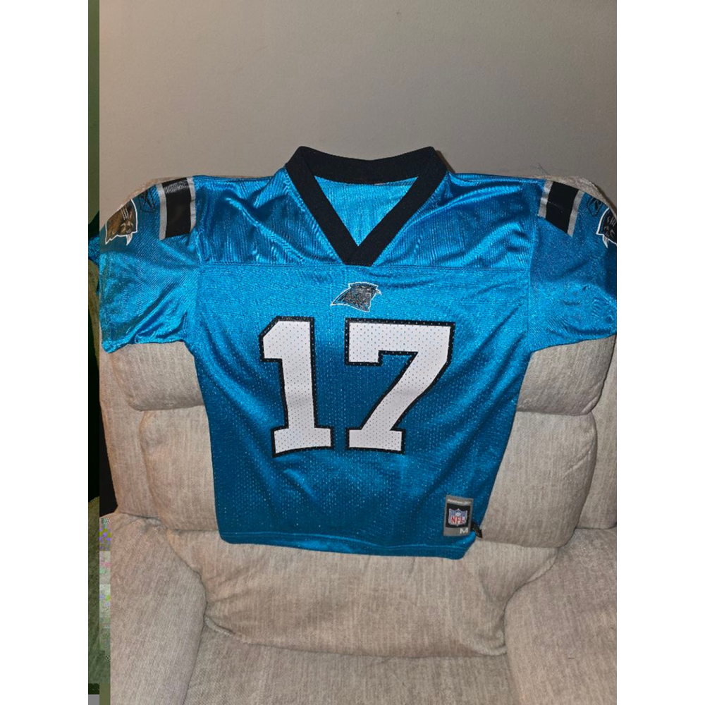 Carolina Panthers J.Delhomme jersey size M 10/12 $25